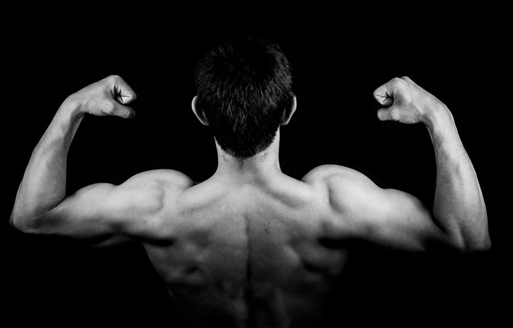 Basic Rules For Building Muscle